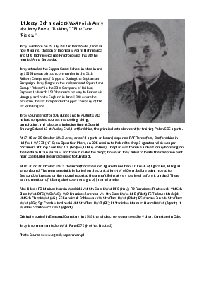 A preview of a PDF biography for Bichniewicz, Jerzy
